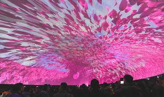 国产河北彩花视频,绽放乡土的美丽画卷