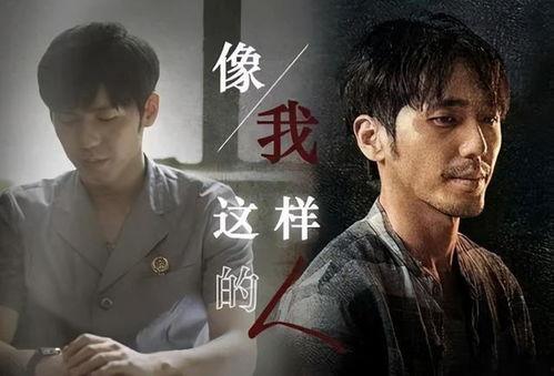 国产电视剧解说催泪视频,泪点满满，情感共鸣