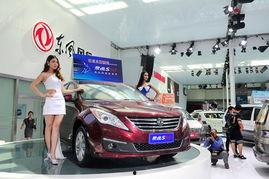 国产车博会视频,创新科技与民族品牌共舞