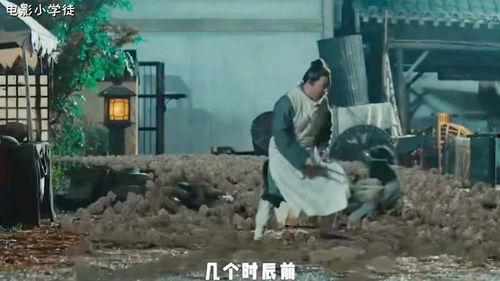 国产灭鼠电影推荐大全视频,惊悚刺激，揭秘鼠患危机