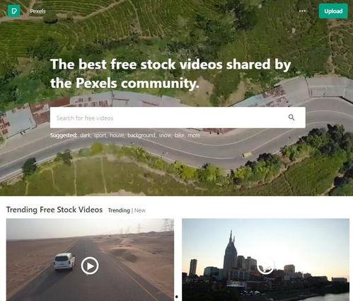 国产精品青草视频地址  第2张