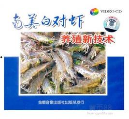 国产人工养殖大虾视频