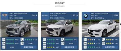 国产车辅助驾驶测评视频,性能解析与驾驶体验对比  第2张