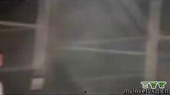 国产男男sm调教视频在线观看  第2张