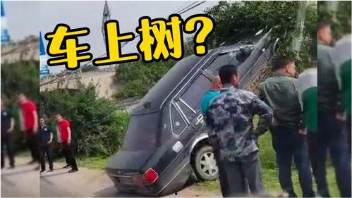 国产结实的车搞笑视频,搞笑视频笑翻全场！  第3张
