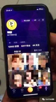 国产视频成人app  第3张